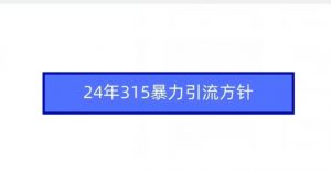 24年315暴力引流方针-升阶有道