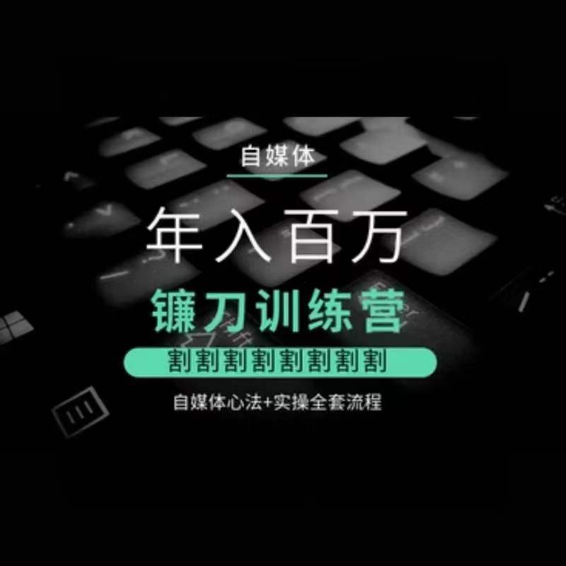 自媒体年入百万镰刀训练营，割割割割割割割割，自媒体心法+实操全套流程-升阶有道