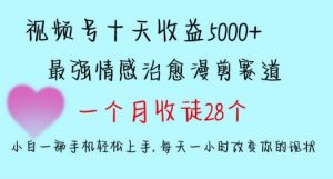 十天收益5000+，多平台捞金，视频号情感治愈漫剪，一个月收徒28个，小白一部手机轻松上手【揭秘】-升阶有道