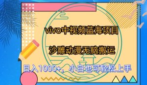 vivo中视频蓝海项目,沙雕动漫无脑搬运,小白也可轻松上手【揭秘】-升阶有道
