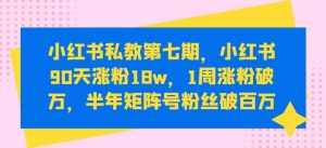 小红书私教第七期，小红书90天涨粉18w，1周涨粉破万，半年矩阵号粉丝破百万-升阶有道