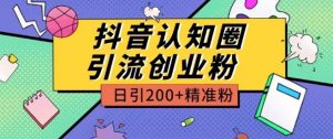 外面收费3980抖音认知圈引流创业粉玩法日引200+精准粉【揭秘】-升阶有道