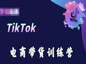 TikTok电商带货训练营,跟随时代潮流,跨境掘金-升阶有道