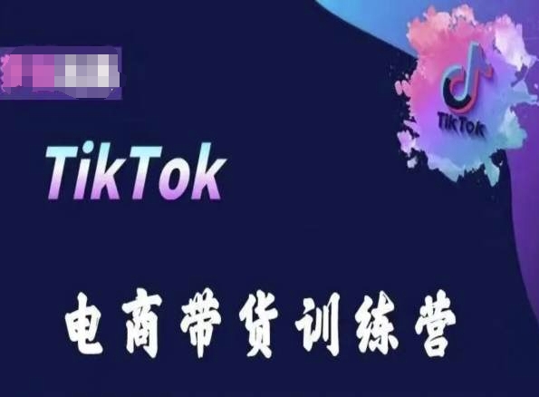 TikTok电商带货训练营，跟随时代潮流，跨境掘金-升阶有道