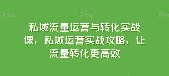 私域流量运营与转化实战课，私域运营实战攻略，让流量转化更高效-升阶有道