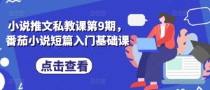 小说推文私教课第9期,番茄小说短篇入门基础课-升阶有道