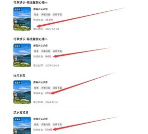 磁力聚星游戏副业陪跑训练营1.0，长期稳定项目，有人一周干了1K+-升阶有道