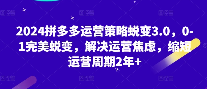 2024拼多多运营策略蜕变3.0，0-1完美蜕变，解决运营焦虑，缩短运营周期2年+-升阶有道