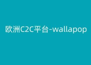 欧洲C2C平台-wallapop-kim跨境电商教程-升阶有道