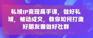 私域IP变现高手课,做好私域,被动成交,教你如何打造好朋友圈做好社群-升阶有道