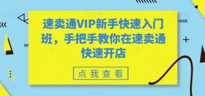 速卖通VIP新手快速入门班,手把手教你在速卖通快速开店-升阶有道