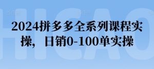 2024拼多多全系列课程实操，日销0-100单实操【必看】-升阶有道