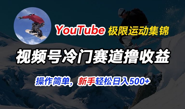 视频号冷门赛道撸收益，YouTube搬运极限运动集锦，暴力起号，操作简单流量高，轻松日入5张【揭秘】-升阶有道