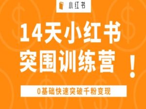14天小红书突围训练营 ，0基础快速突破千粉变现-升阶有道