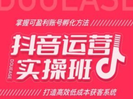 抖音运营实操班，掌握可盈利账号孵化方法，打造高效低成本获客系统-升阶有道