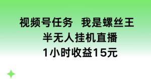 视频号任务，我是螺丝王， 半无人挂机1小时收益15元【揭秘】-升阶有道