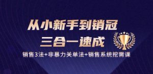 从小新手到销冠 三合一速成:销售3法+非暴力关单法+销售系统挖需课 (27节)-升阶有道
