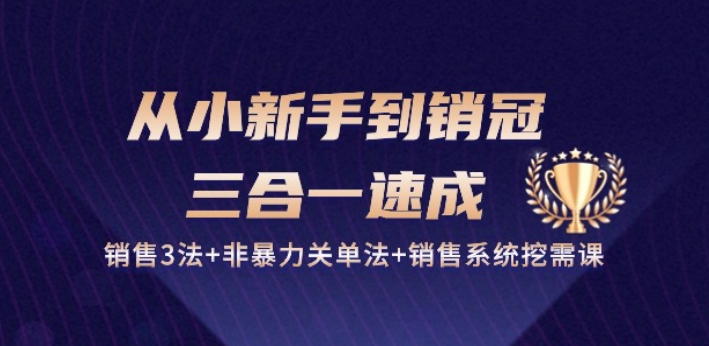 从小新手到销冠 三合一速成：销售3法+非暴力关单法+销售系统挖需课 (27节)-升阶有道