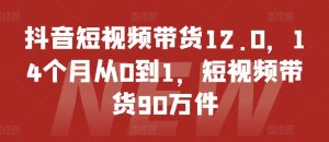 抖音短视频带货12.0,14个月从0到1,短视频带货90万件-升阶有道