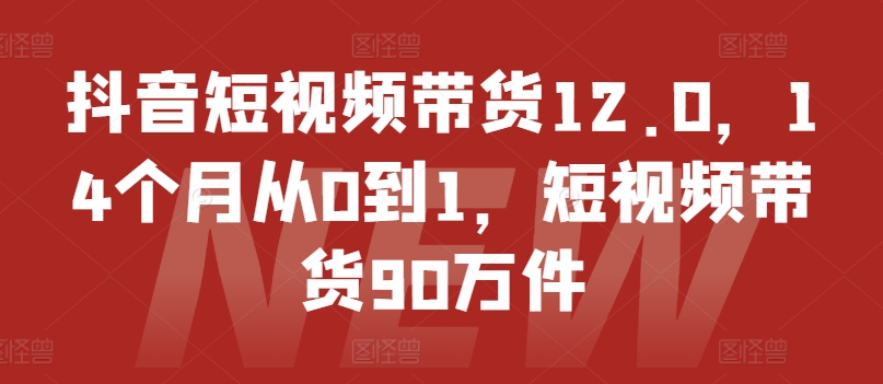 抖音短视频带货12.0，14个月从0到1，短视频带货90万件-升阶有道