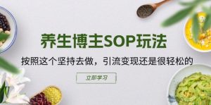 养生博主SOP玩法，按照这个坚持去做，引流变现还是很轻松的-升阶有道