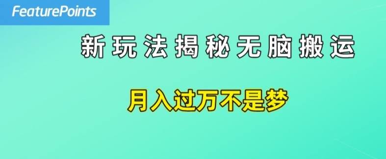简单操作，每天50美元收入，搬运就是赚钱的秘诀【揭秘】-升阶有道