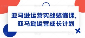 亚马逊运营实战必修课，亚马逊运营成长计划-升阶有道