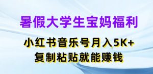 暑假大学生宝妈福利，小红书音乐号月入5000+，复制粘贴就能赚钱【揭秘】-升阶有道