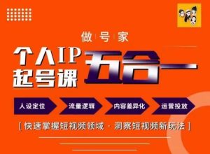 做号家的个人IP起号方法,快去掌握短视频领域,洞察短视频新玩法,68节完整-升阶有道