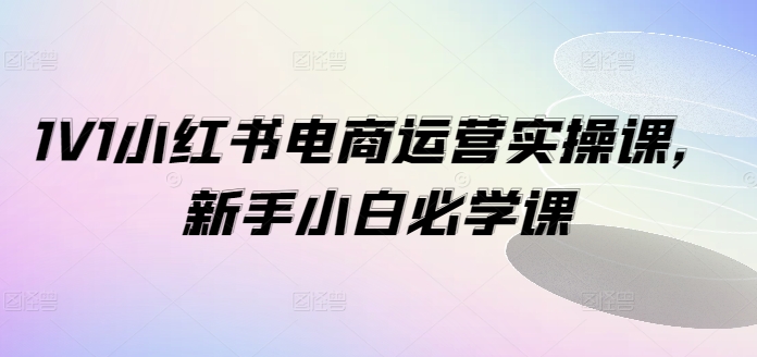 1V1小红书电商运营实操课，新手小白必学课-升阶有道