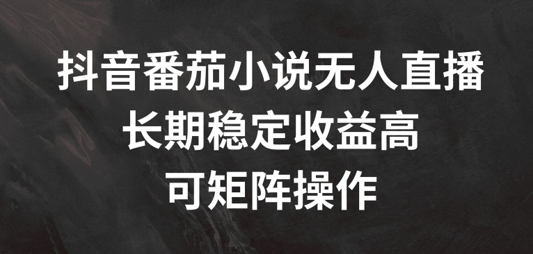 抖音番茄小说无人直播，长期稳定收益高，可矩阵操作【揭秘】-升阶有道