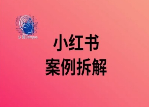 小红书案例拆解，深度解读小红书40万粉-升阶有道