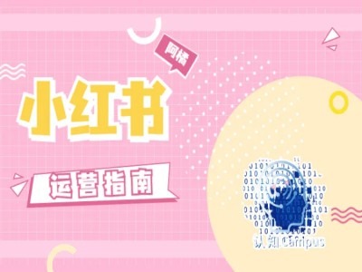 小红书运营指南，没有套路，全是经验-升阶有道