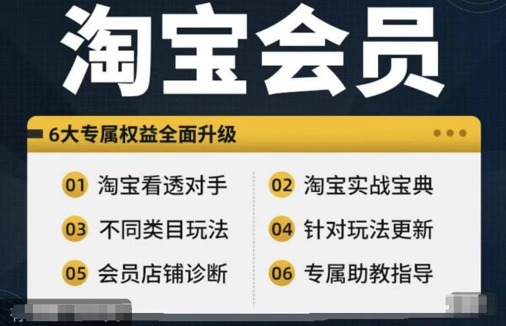 淘宝会员【淘宝所有课程，全面分析对手】，初级到高手全系实战宝典-升阶有道