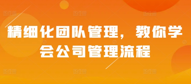 精细化团队管理，教你学会公司管理流程-升阶有道