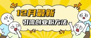 12月最新引流创业粉方法,方法非常简单,适用于多平台-升阶有道