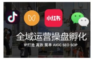 全域运营操盘(抖音+私域+小红书),IP打造高效简单-升阶有道