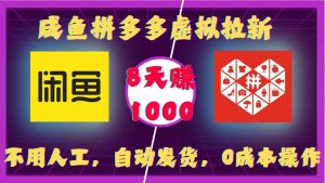 咸鱼拼多多虚拟拉新,不用人工,自动发货,0成本操作,8天收益1k-升阶有道