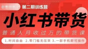 小Red书带货42天训练营 2.0版,宝妈+自由职+上班族+大学生,提高副业收入的大红利项目-升阶有道