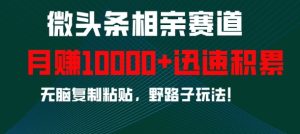 微头条相亲赛道,迅速积累,无脑复制粘贴,野路子玩法,月入1w-升阶有道