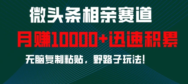 微头条相亲赛道，迅速积累，无脑复制粘贴，野路子玩法，月入1w-升阶有道