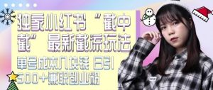 最新小红书截流玩法 独家截中截 单号成本几块钱 日引500+CY粉JZ粉-升阶有道