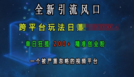 全新引流风口，跨平台玩法日入上k，单日狂揽200+精准创业粉，一个被严重忽略的视频平台-升阶有道