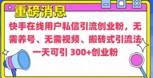 快手最新引流创业粉方法，无需养号、无需视频、搬砖式引流法【揭秘】-升阶有道