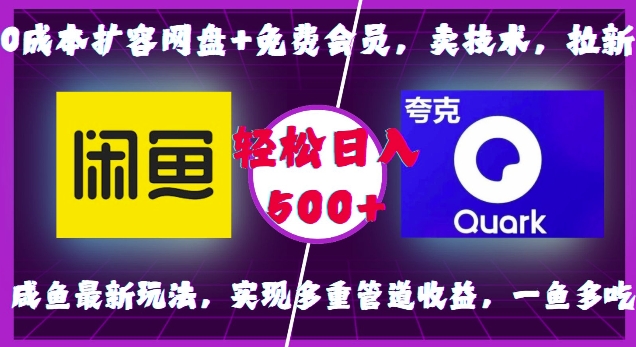 0成本扩容网盘+免费会员，卖技术，拉新，咸鱼最新玩法，实现多重管道收益，一鱼多吃，轻松日入500+-升阶有道