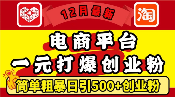 12月最新：电商平台1元打爆创业粉，简单粗暴日引500+精准创业粉，轻松月入过W【揭秘】-升阶有道