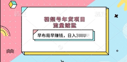 视频号年货项目，流量贼猛，早布局早挣钱，日入上k【揭秘】-升阶有道