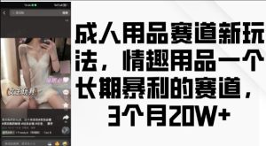 成人用品赛道新玩法，情趣用品一个长期暴利的赛道，3个月收益20个【揭秘】-升阶有道