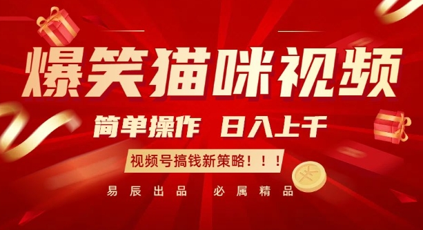 爆笑猫咪视频：简单操作，日入过K，视频号搞钱新策略【揭秘】-升阶有道