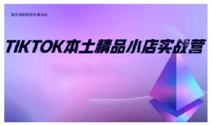 TikTok本土精品小店出海实战营,从入门到高阶,不止0-1!-升阶有道
